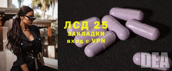 spice Богданович