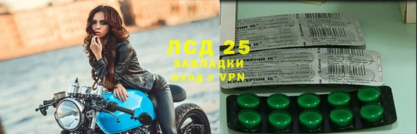 spice Богданович