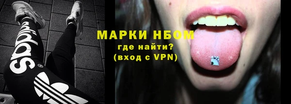 a pvp Бородино