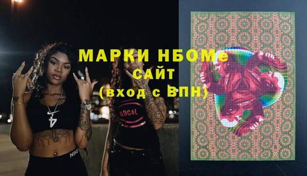 дживик Богородицк