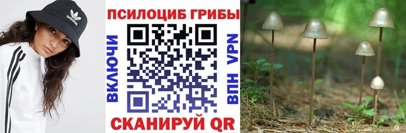 Галлюциногенные грибы мухоморы  сайты даркнета официальный сайт  Пенза  МЕГА ССЫЛКА 