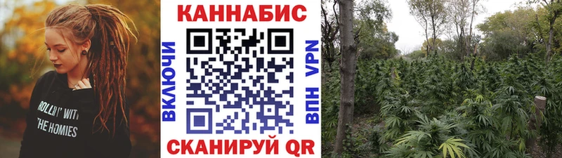 Бошки марихуана марихуана  Пенза 